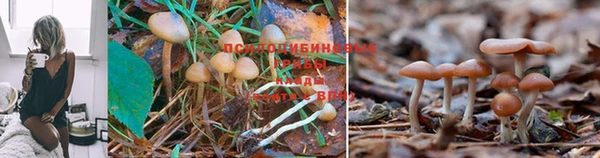 кристаллы Аркадак