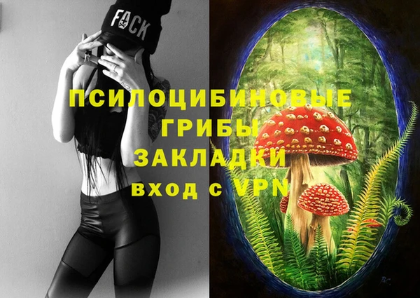 Альфа ПВП Армянск