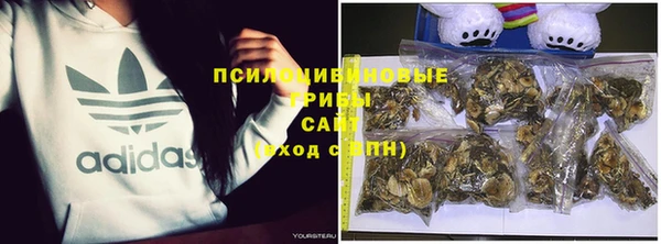 дживик Балахна