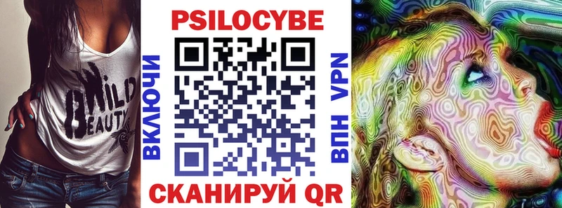 Галлюциногенные грибы Psilocybe  Купить закладки  Тарко-Сале 